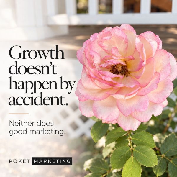 Poket Marketing on Instagram
